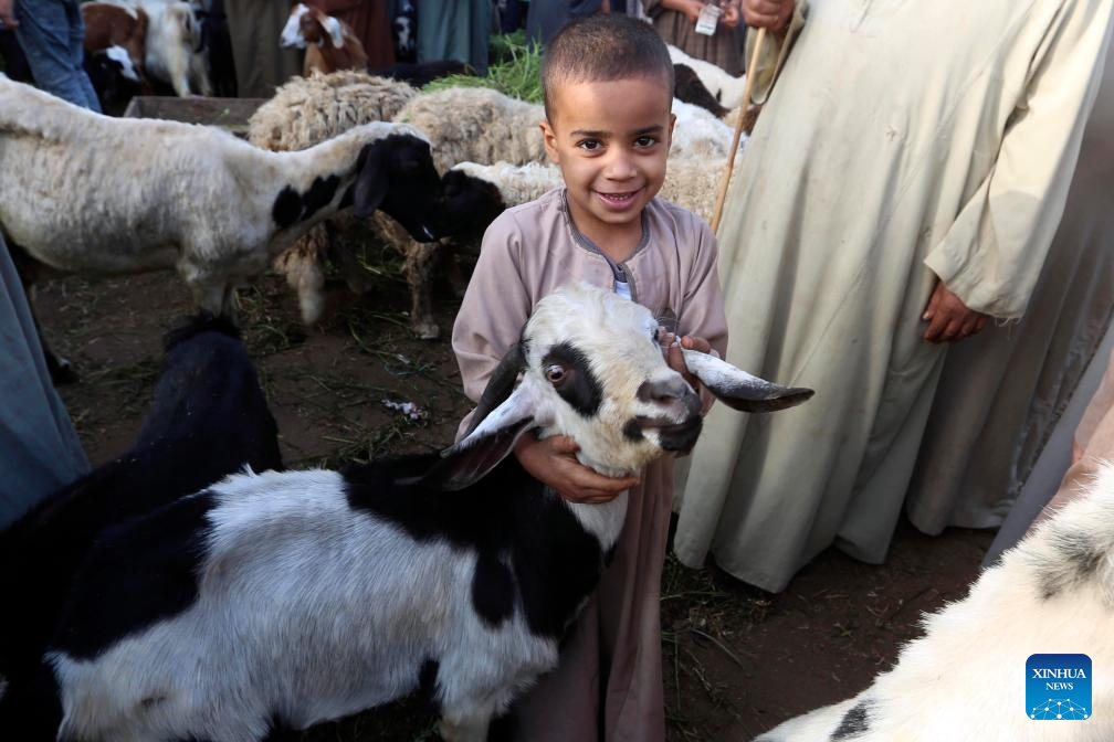 You are currently viewing Xinhua photos of the day