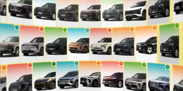 You are currently viewing 50万买国产9系SUV 到底值不值