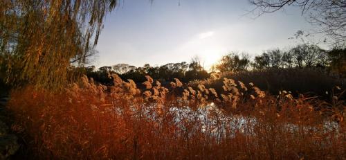 IMG_20201127_160342
